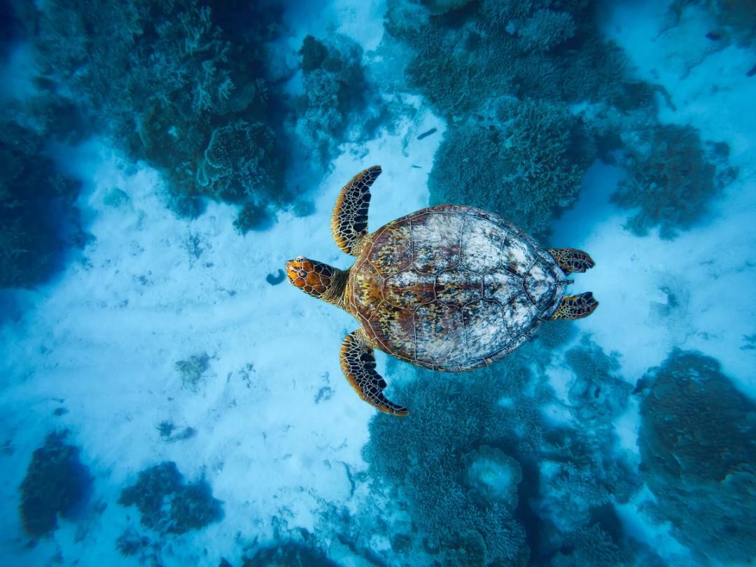 https://media.leisurecom.com/cruise/image-2025-09-08-12-03-05.webp