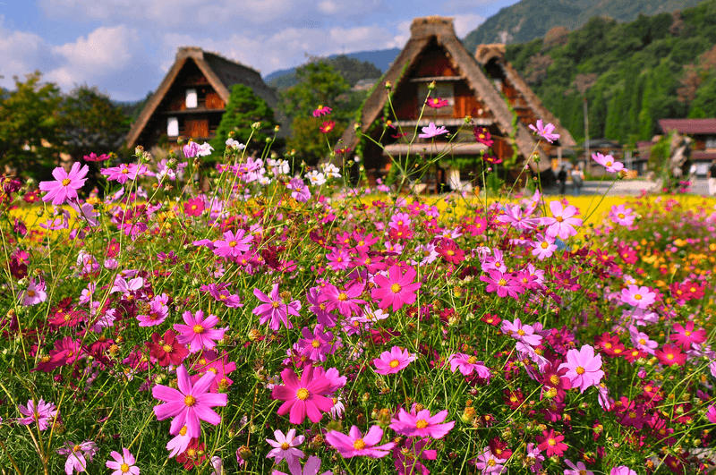 Ancient Kingdoms of Japan and South Korea 