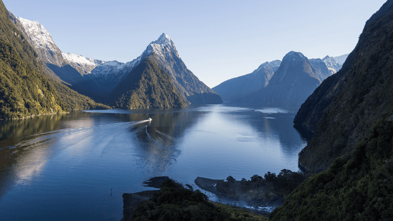 New Zealand Wonderland