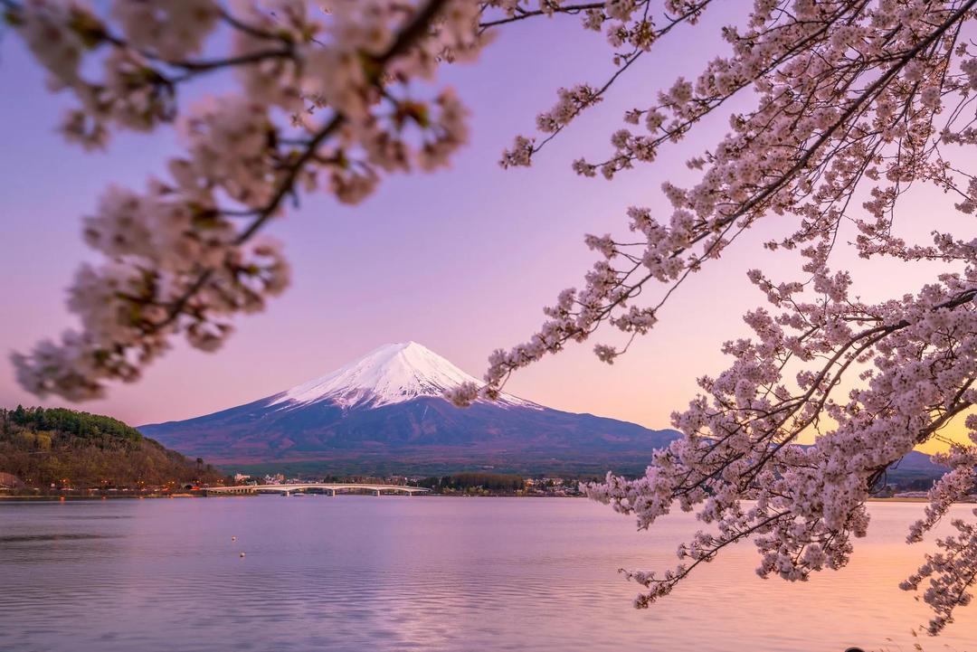 Japan's Golden Route and Coastal Discovery