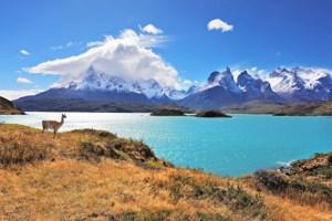 Wonders of Patagonia
