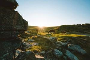 Best of Devon and Cornwall